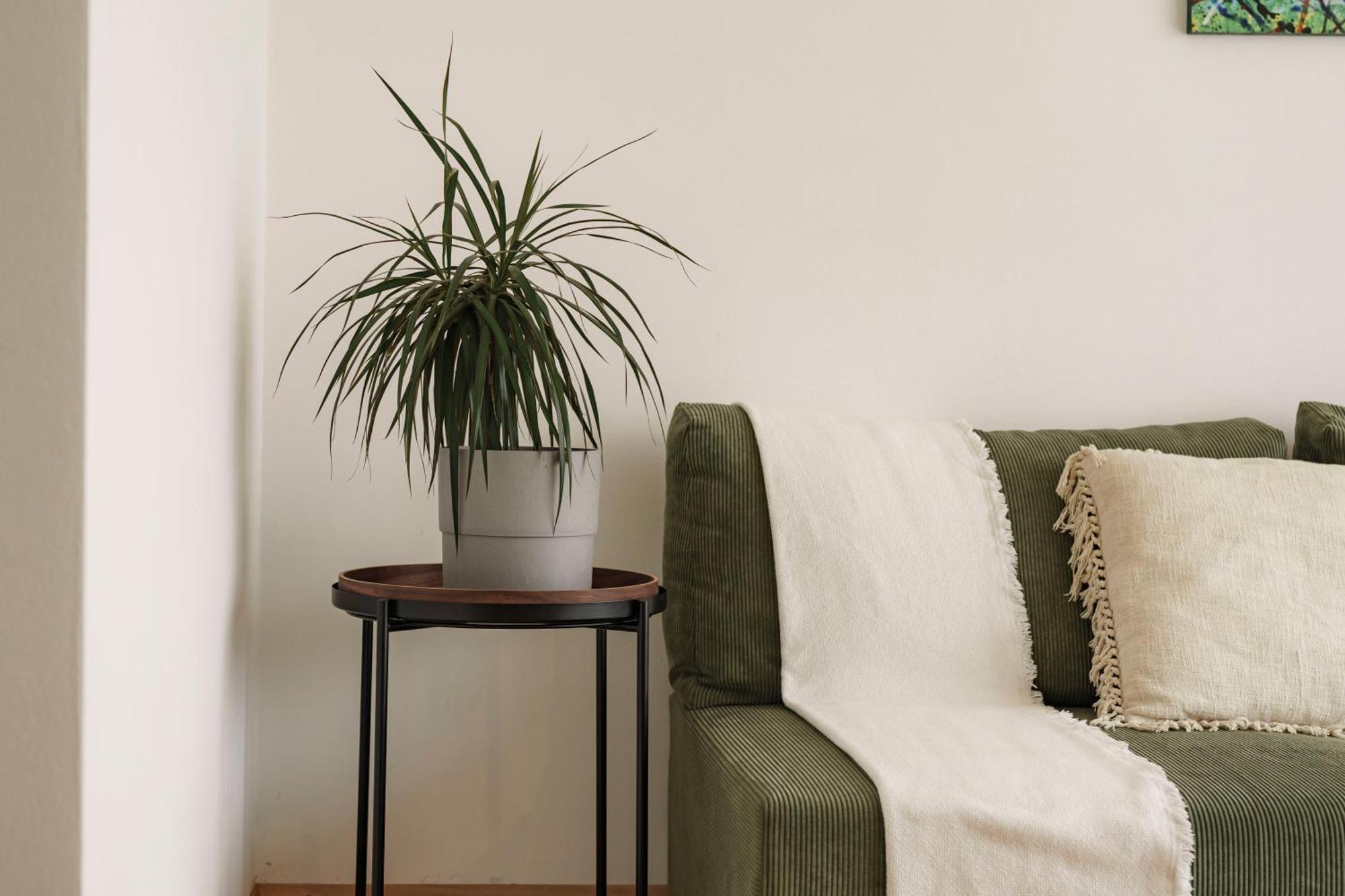 Mountain View Suites Tisens Bagian luar foto